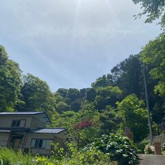 （受付終了）海まで5分。森に囲まれた葉山堀内森戸土地。大自然のプライベートスペース。85.6坪(283㎡)　 - 不動産