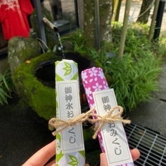 運氣が上がります✨