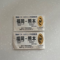 熊本⇔福岡2枚(博多天神福岡空港)西鉄バスひのくに号