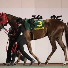 競馬🐴に興味がある20代集まれ！天皇賞(秋)観に行きましょう！