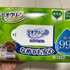 【差し上げます】猫オムツ　ペットシーツの画像