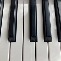 大人ピアノサークル　in 東海