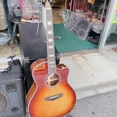D'Angelico Premier Gramercy / Ic...
