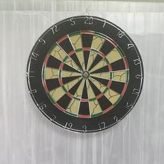 ●ダーツボード、模様付き、ダーツ6本付き、46cm●  B-3