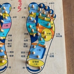 足踏み器の画像