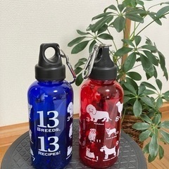 ⭐︎値下げ⭐︎ウォーターボトル　500m ml 犬の絵柄