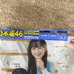 乃木坂46 クリアファイルの画像