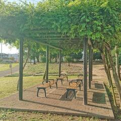 第5回☀️朝活 おそとコーヒー☕ 5月26日(日)7:00～8:30 4名ご参加ありがとうございました！ - メンバー募集