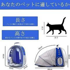 ブルー 青 キャリーペットバッグ キャリーペットバッグ 透明ペットキャリー 猫リュック 犬リュック 軽量 通気性 大容量 持ち運び便利 ポケット付き 通院 散歩 旅行 猫用 犬用 小型犬用 　卸ます　転売　アマゾン引き上げ商品　倒産品　仕入れ 副業　卸ます　転売　アマゾン引き上げ商品　卸し　問屋　倒産品　転売OK　ネット商材　アマゾン　商品　景品　コンペの画像