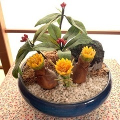 決まりました　盆栽　お正月飾り