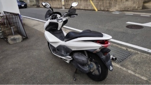 HONDA pcx125 白色　125cc メットインスクーター　すぐ乗れます　福岡市南区 HONDA pcx125 白色 125cc メットインスクーター すぐ乗れます 福岡市南
