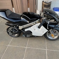 ポケバイ🏍⚠️再投稿⚠️決まりました
