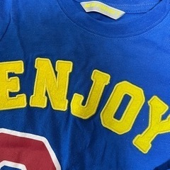 110 長袖Tシャツの画像