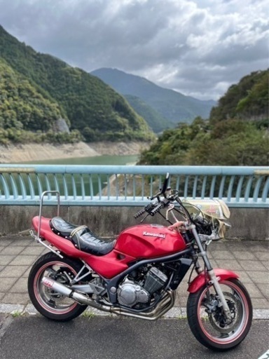 kawasaki バリオス1型 250cc 純正カラー