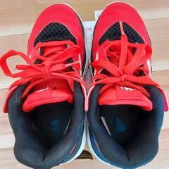 ハーデン ステップバック 美品 バスケットシューズ  Harden バッシュ adidas  ミニバス 22.5cmの画像