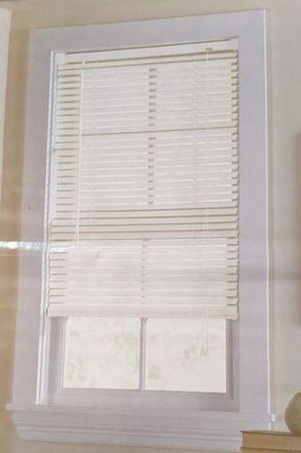 ブラインド ホワイト 58.4cm×106.7cm