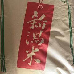 新米 令和5年産 新潟県産 コシヒカリ 玄米 30kg 特別栽培米