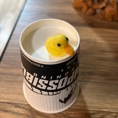 アヒル