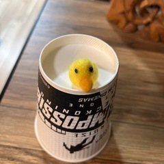 アヒルの画像