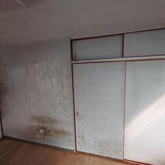 (地域最安値)壁紙の張替えをしなくても、壁紙プラスで塗り替えることで早く・安く・新品同様に再生可能！         - 大阪市