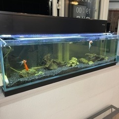☆水槽☆ 値下げしました
