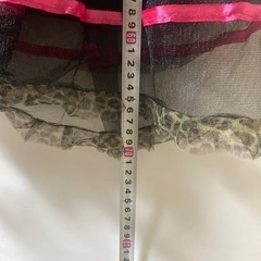 ハロウィン衣装の画像