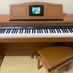 Roland hpi-6