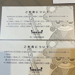 海上釣り堀サザン　1日利用券　男性　女性　１枚ずつの画像