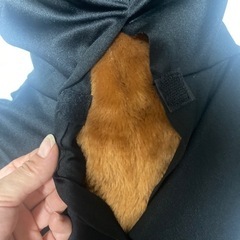 ハロウィン衣装　男女兼用の画像