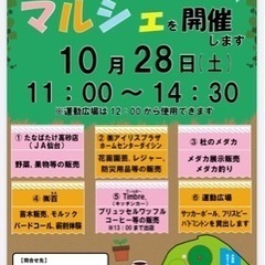メダカ釣り開催します