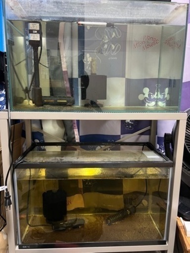 水槽セットx2