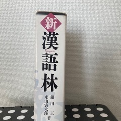 辞書　漢語林の画像