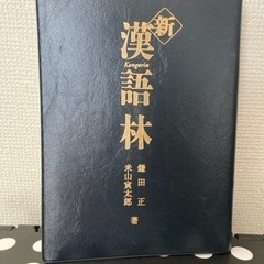 辞書　漢語林の画像