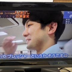 テレビ