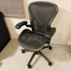【極美品】ハーマンミラー アーロンチェア フル装備 ポスチャーフィット