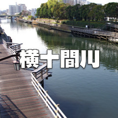 木場～住吉を歩きます！江戸時代から残る運河・横十間川親水公園、木...