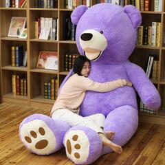 美品　テディベア　特大　250センチ　パープルの画像