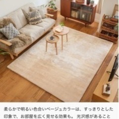 別注プロダクト｜洗える+高反発 2層構造 マイクロファイバーラグ...