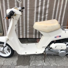 希少旧車HONDAスカイ実動　動画有り　原付　大阪の画像