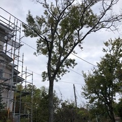 伐採や草刈りでお困りの方 - 伊東市
