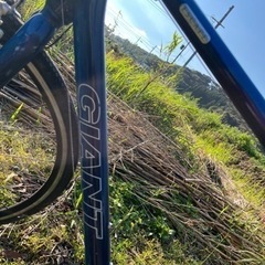 GIANT ESCAPEの画像