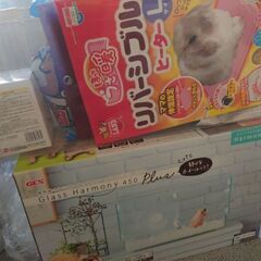 ハムスター　飼育諸々セットの画像