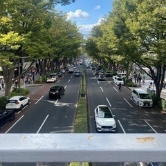 週末に出かけませんか？？