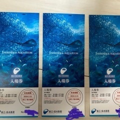 新江ノ島水族館　2024年3月31日　3枚