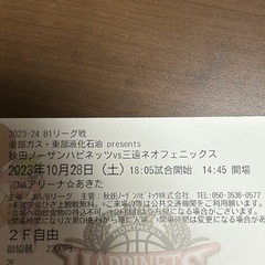 ノーザンパピネッツ　三遠フェニックス  10\28 4枚