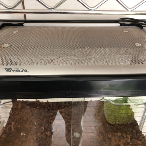 中古品爬虫類段突及びライト付きガラスゲージ60✖️45✖️45 (蓮太郎