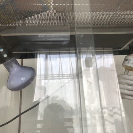 中古品爬虫類段突及びライト付きガラスゲージ60✖️45✖️45 中古品爬虫類段突及びライト付きガラスゲージ60✖️45✖️45 (蓮太郎