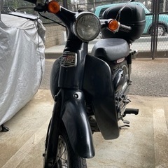 リトルカブ　50