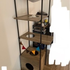 キャットタワーの画像