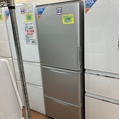 ツキノワグマ胆嚢